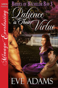 Brides of Bachelor Bay book cover 3