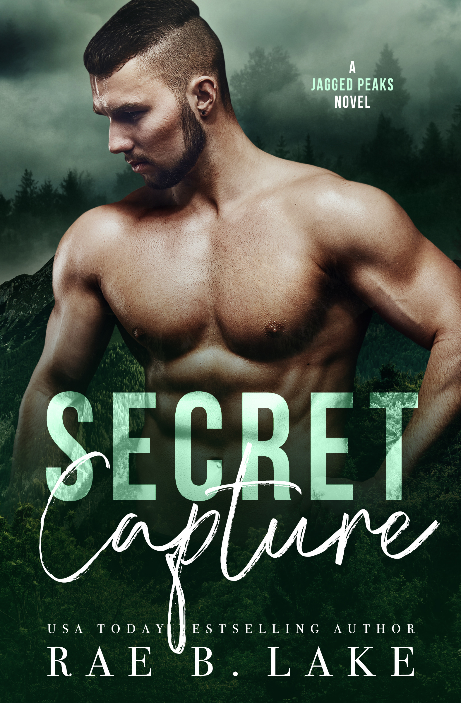 Jagged Peaks Mountain book cover 1