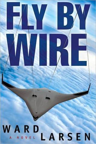 Fly By Wire book cover