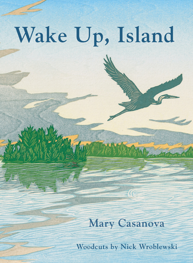 Wake Up, Island book cover