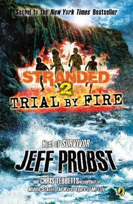 Trial by Fire book cover