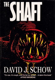 The Shaft book cover