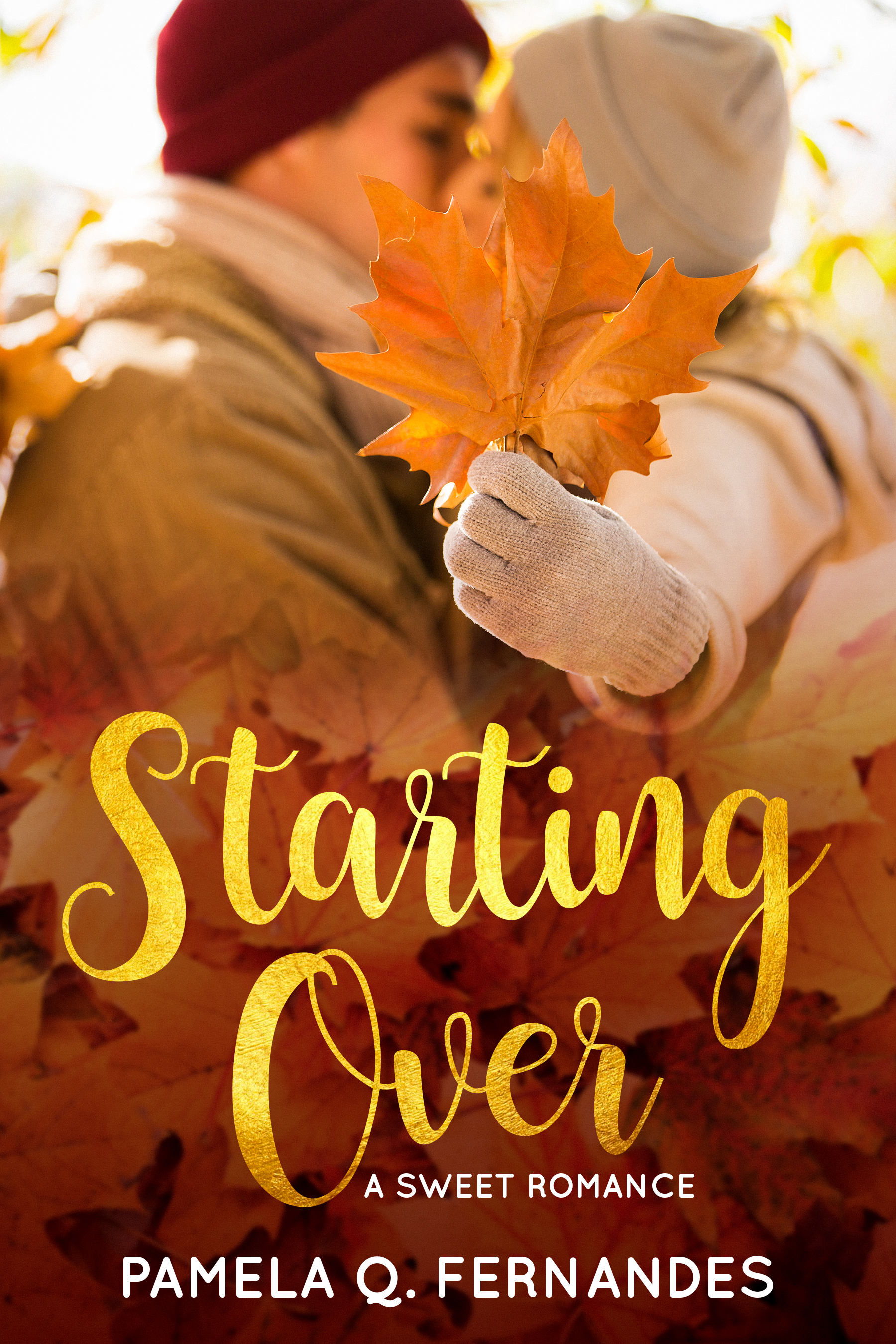 Starting Over book cover