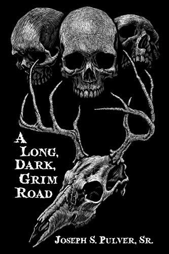 A Long, Dark, Grim Road book cover