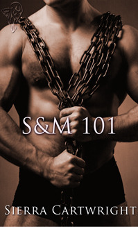 S&M 101 book cover