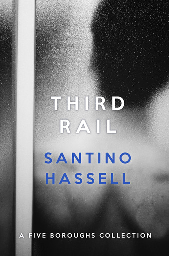 Third Rail book cover