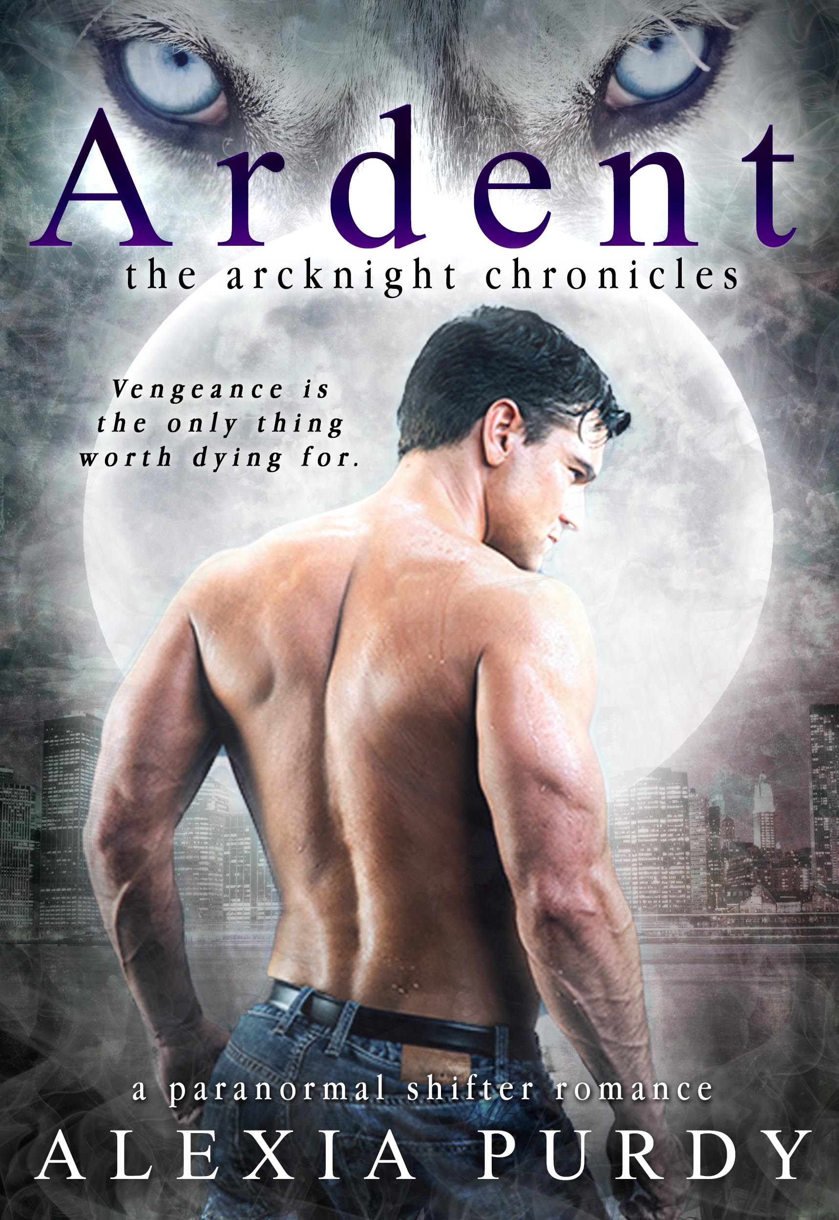 The ArcKnight Chronicles book cover 1