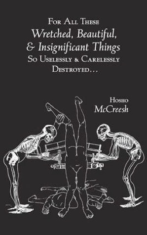For All These Wretched, Beautiful, & Insignificant Things So Uselessly & Carelessly Destroyed… book cover