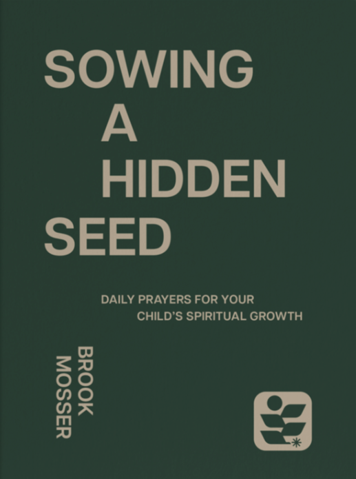 Sowing a Hidden Seed book cover