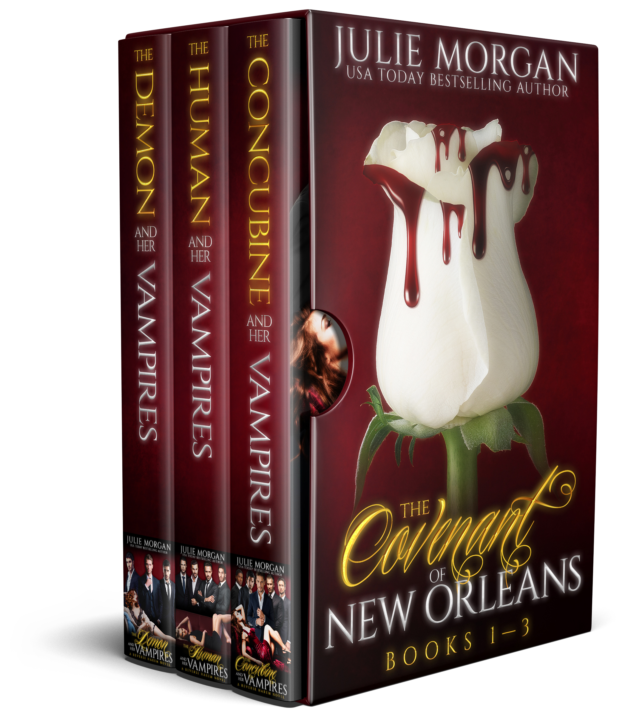 The Covenant of New Orleans book cover