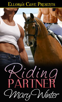Riding Partner book cover