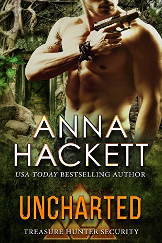Treasure Hunter Security book cover 2