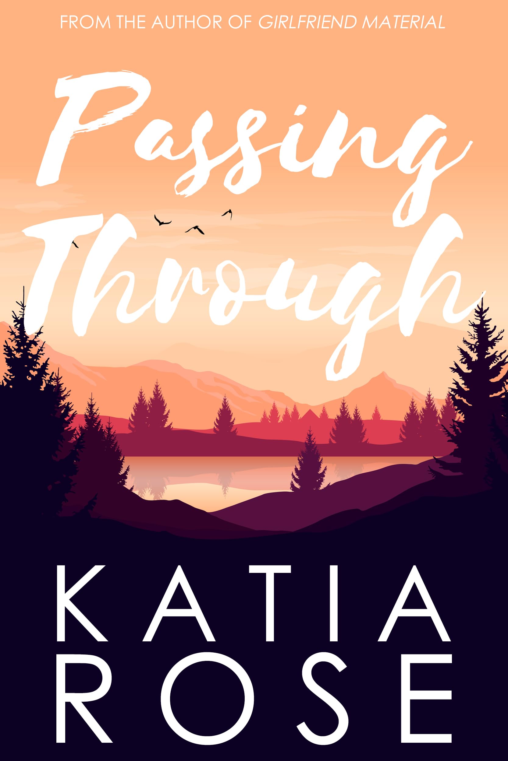 Passing Through book cover