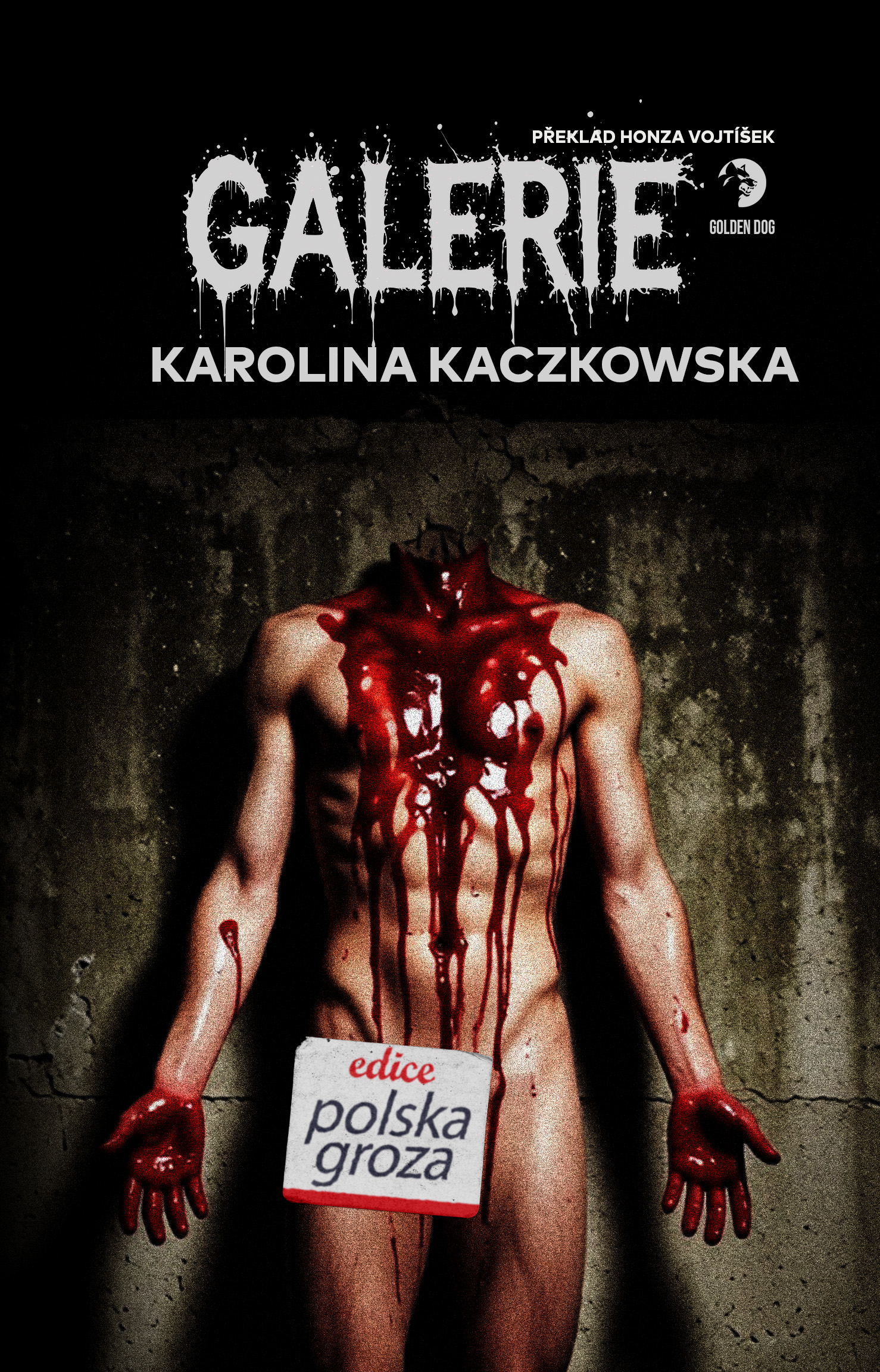 Galerie book cover