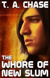 The Whore Of New Slum book cover