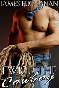 Twice book cover 1