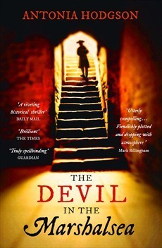 Tom Hawkins book cover 1