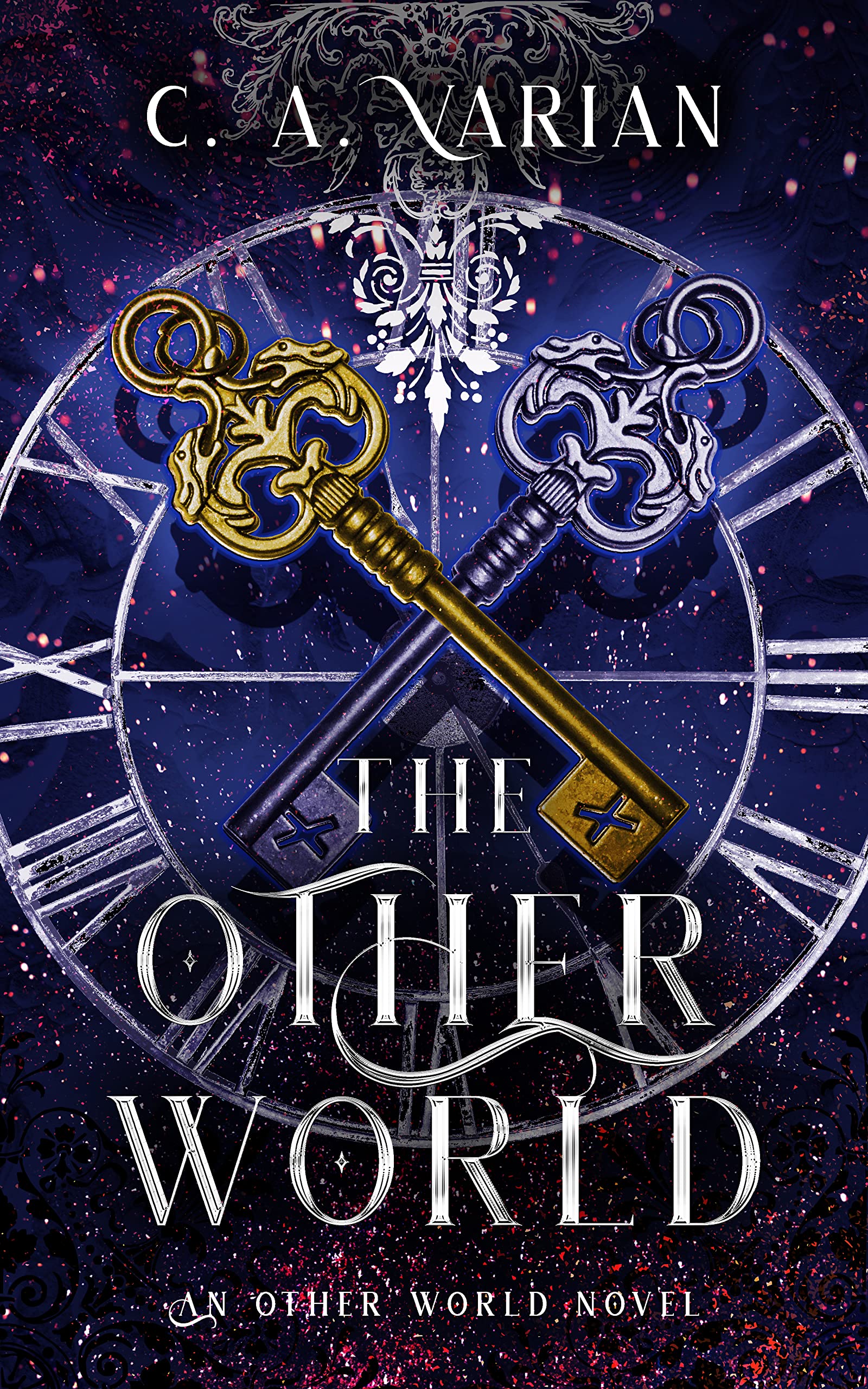 The Other World book cover 1