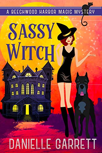 Sassy Witch book cover