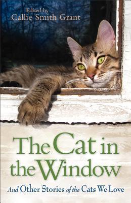 The Cat in the Window book cover