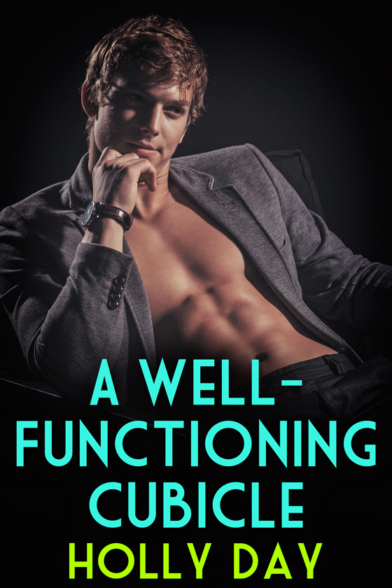 A Well-Functioning Cubicle book cover