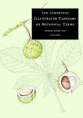 The Cambridge Illustrated Glossary of Botanical Terms book cover
