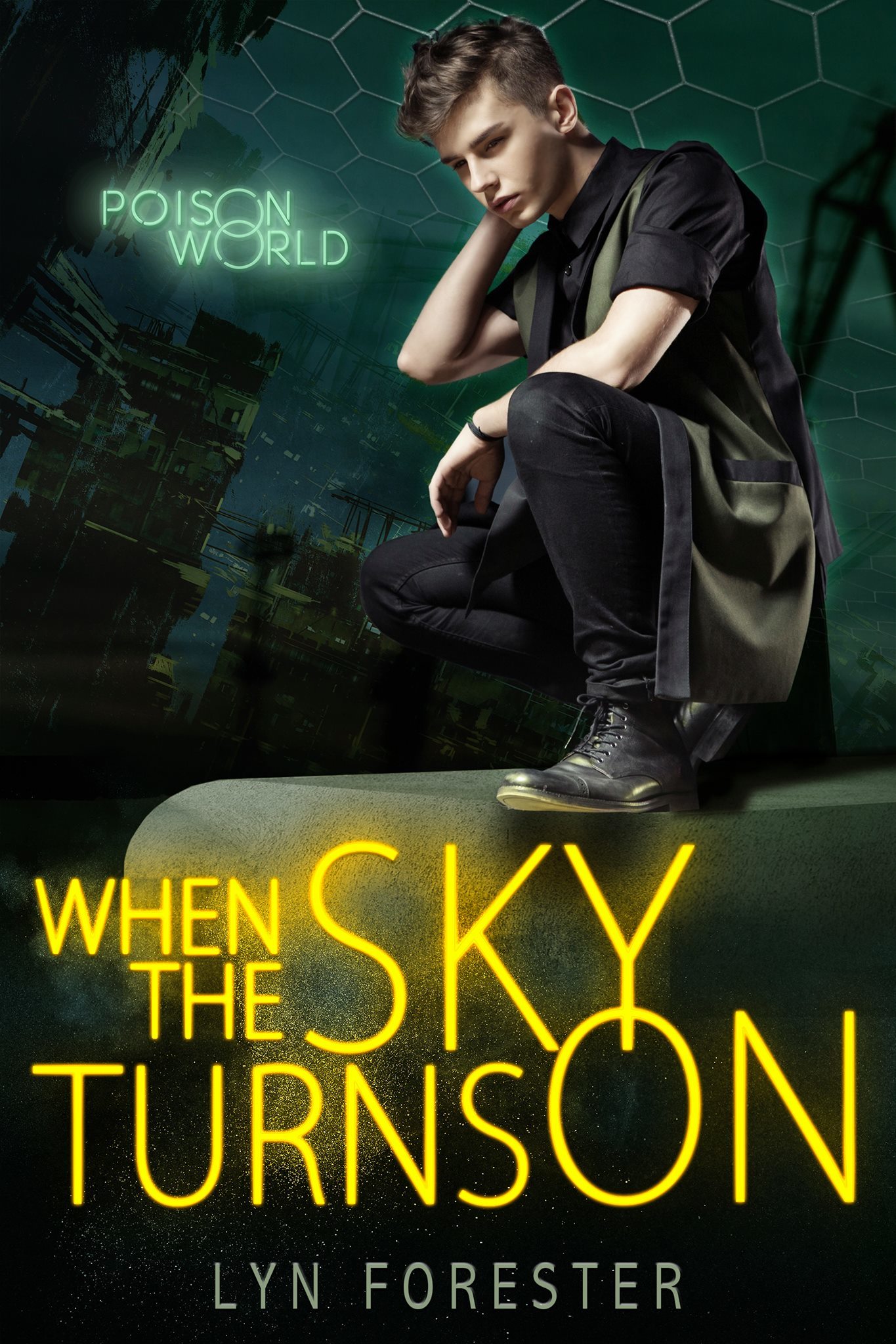 When the Sky Turns On book cover