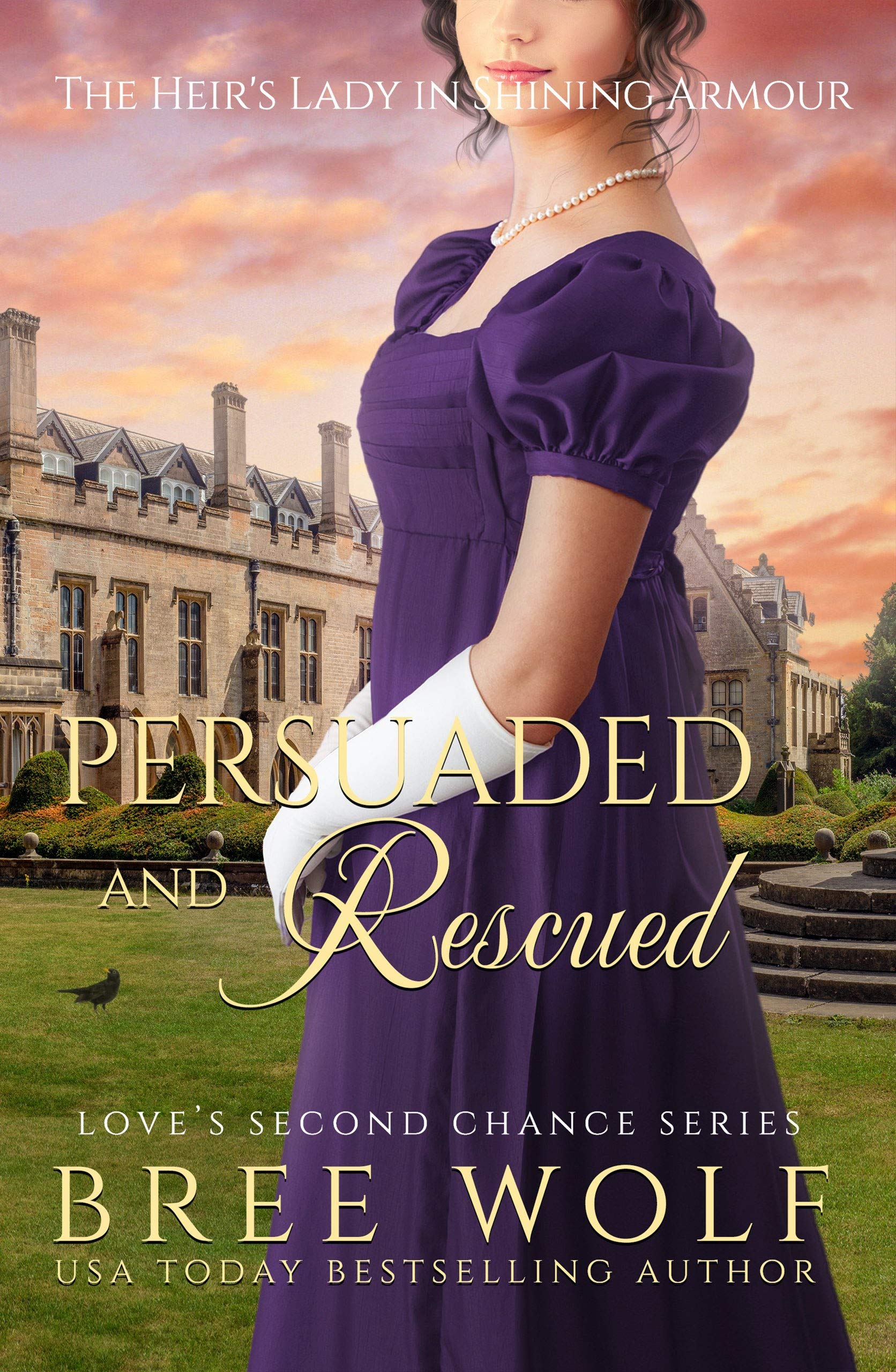 Persuaded & Rescued book cover