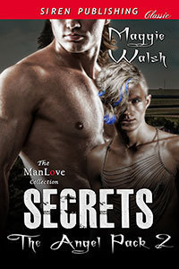 The Angel Pack book cover 2