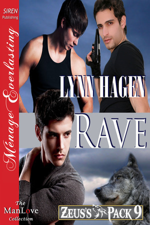 Rave book cover