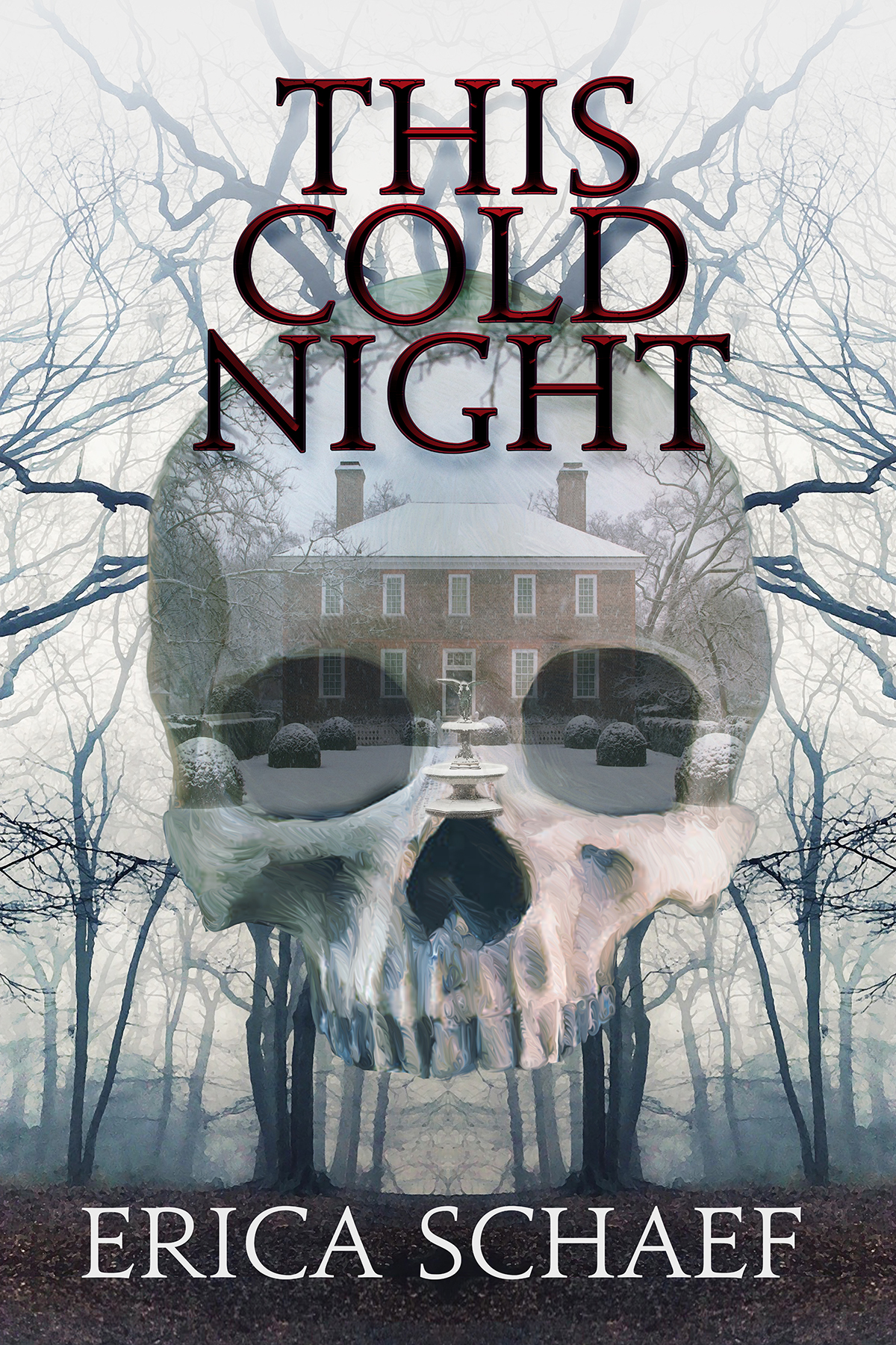 This Cold Night book cover