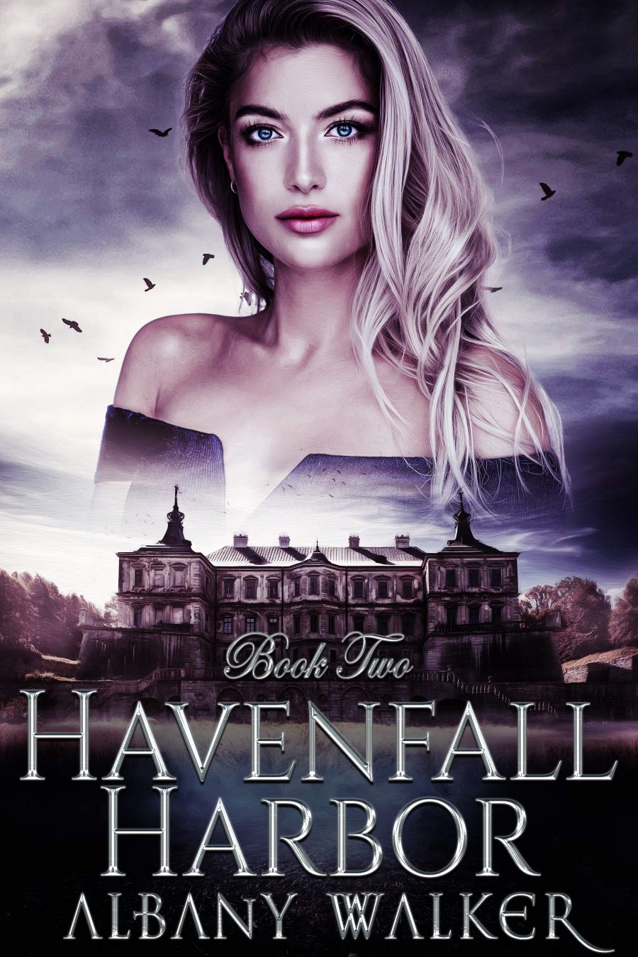 Havenfall book cover 2