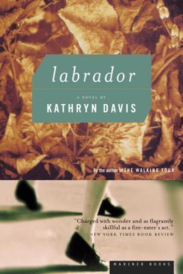 Labrador book cover