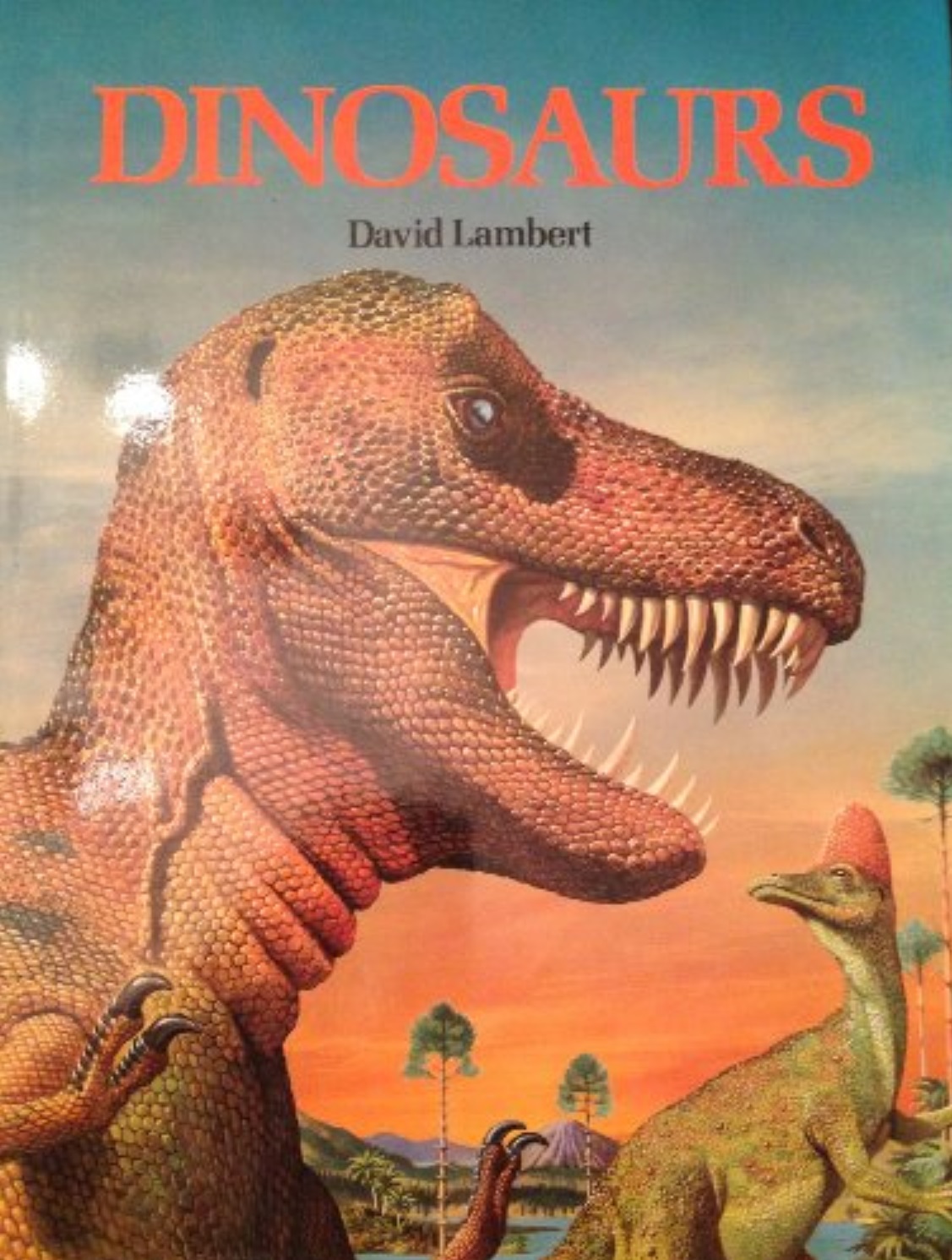 Dinosaurs book cover