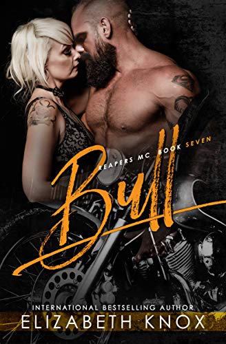 Bull book cover