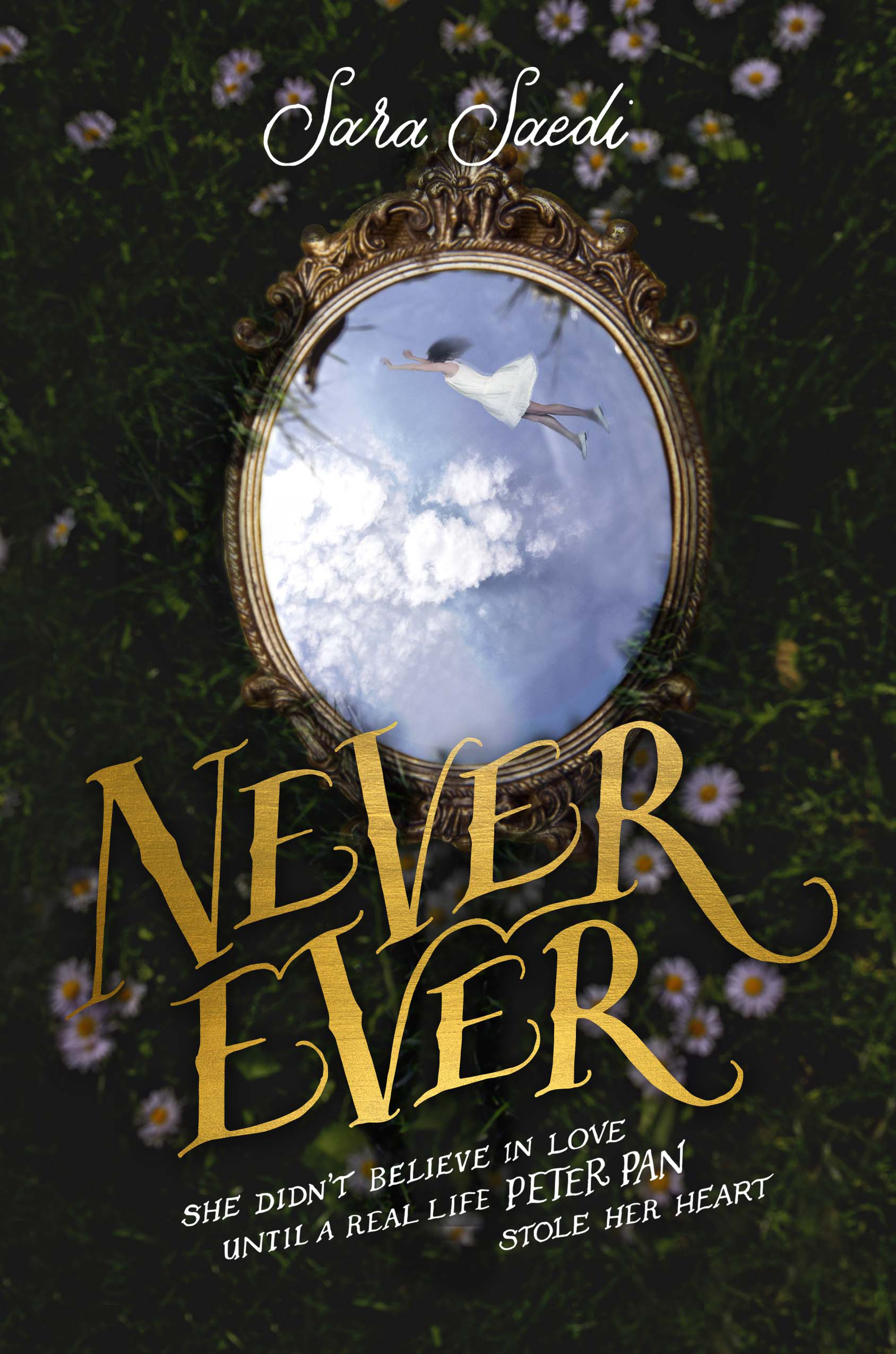 Never Ever book cover 1
