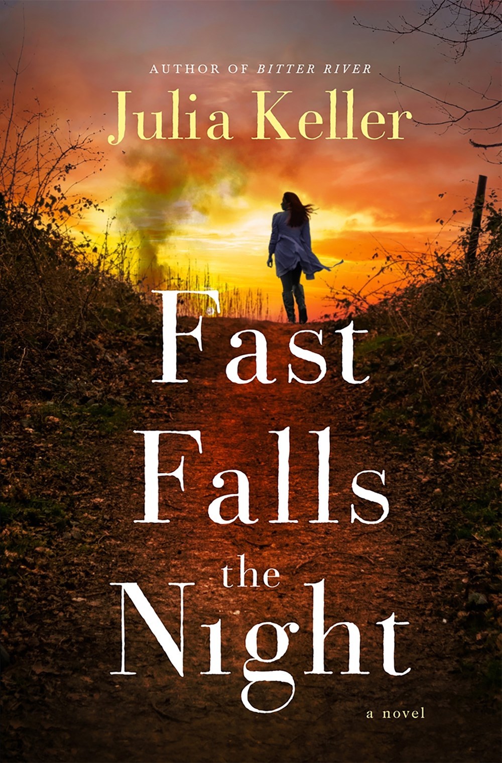 Fast Falls the Night book cover