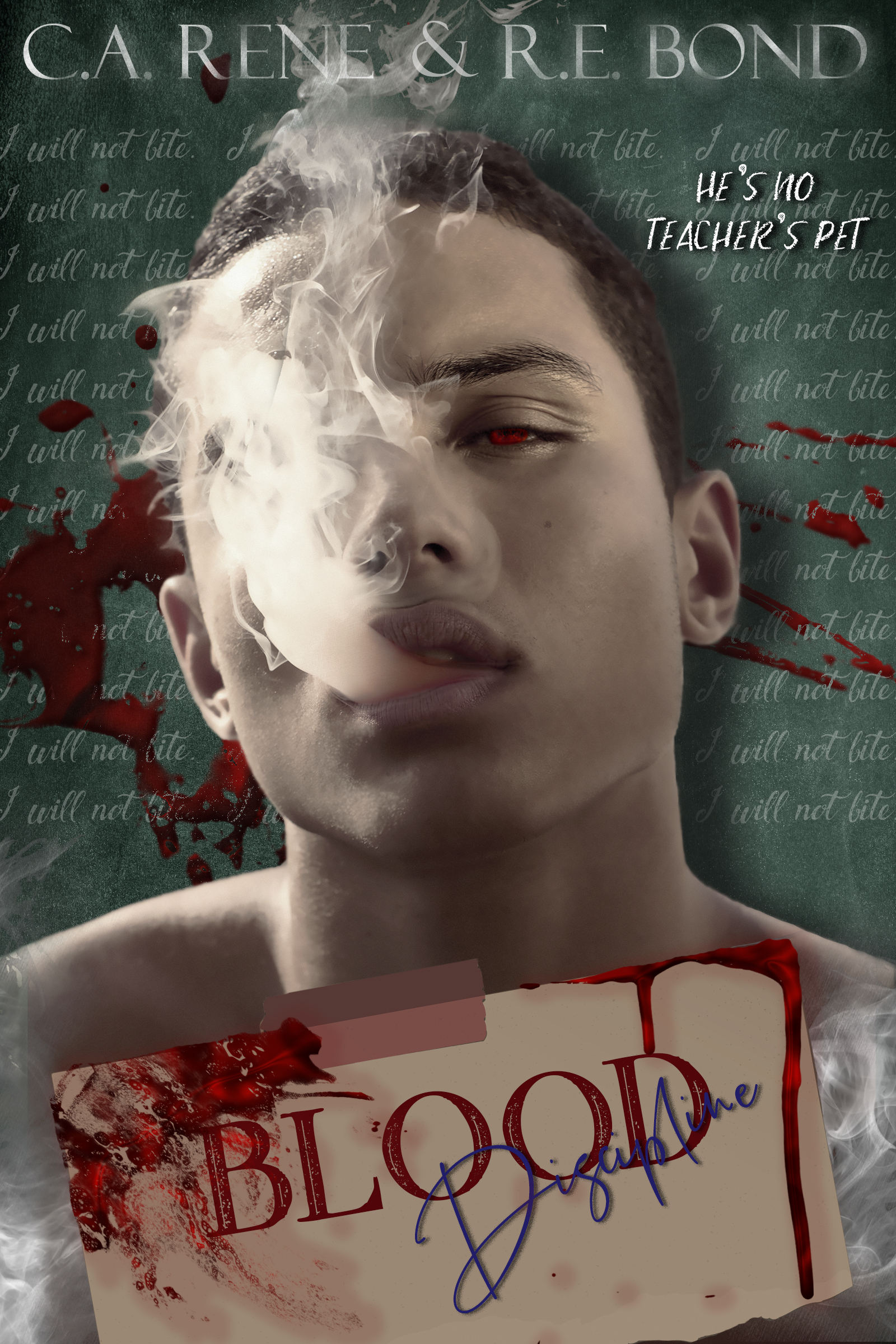 Blood Discipline book cover