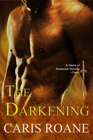 Dawn of Ascension book cover 2