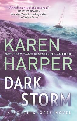 Dark Storm book cover