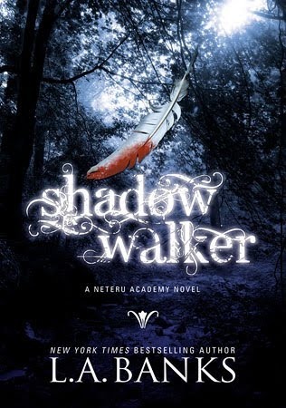 Shadow Walker book cover