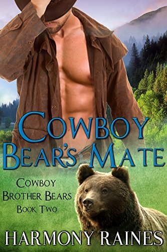 Cowboy Brother Bears book cover 2