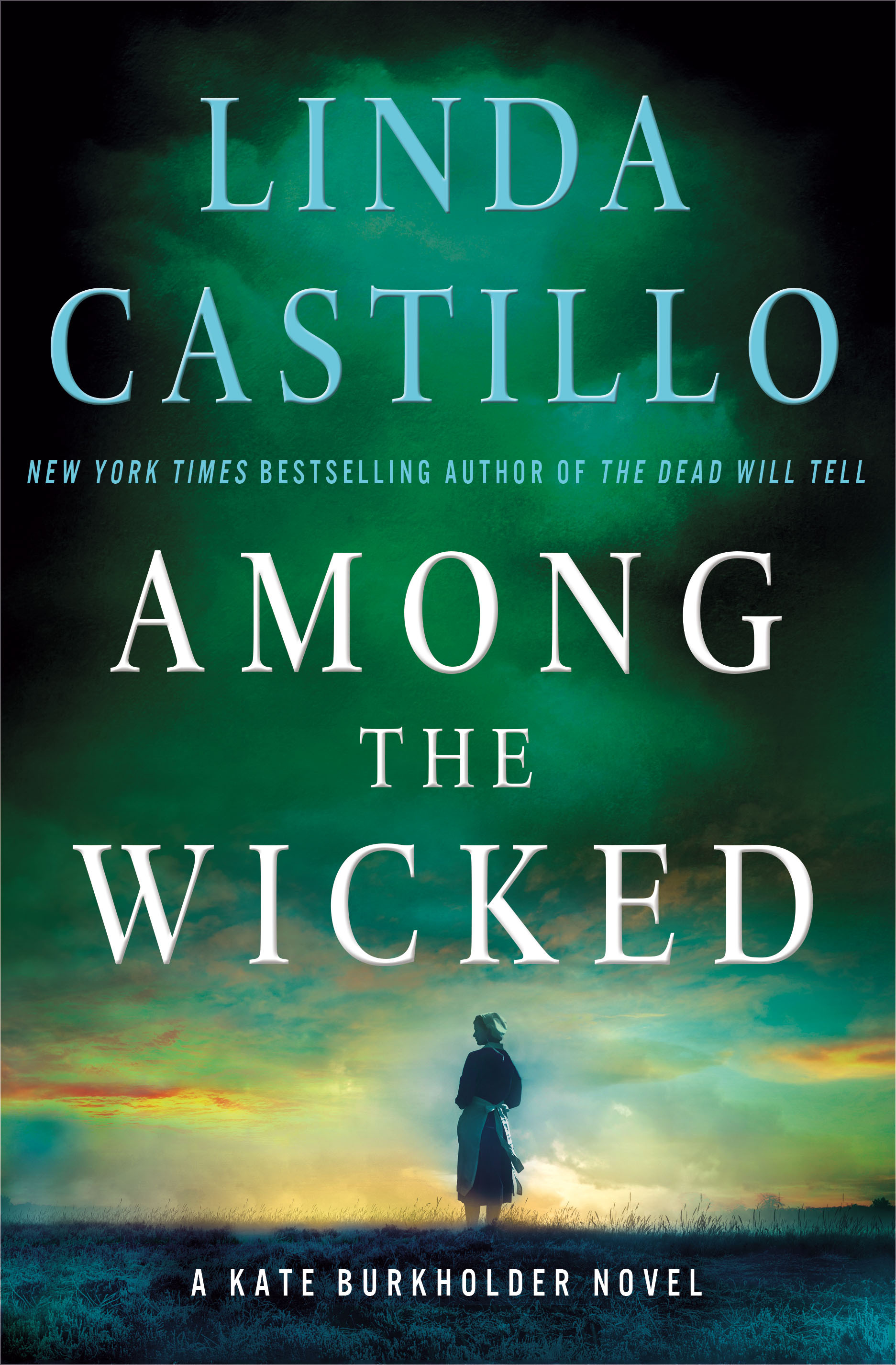 Among the Wicked book cover