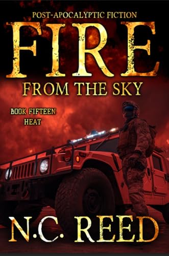 Fire From the Sky book cover
