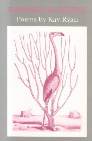 Flamingo Watching book cover