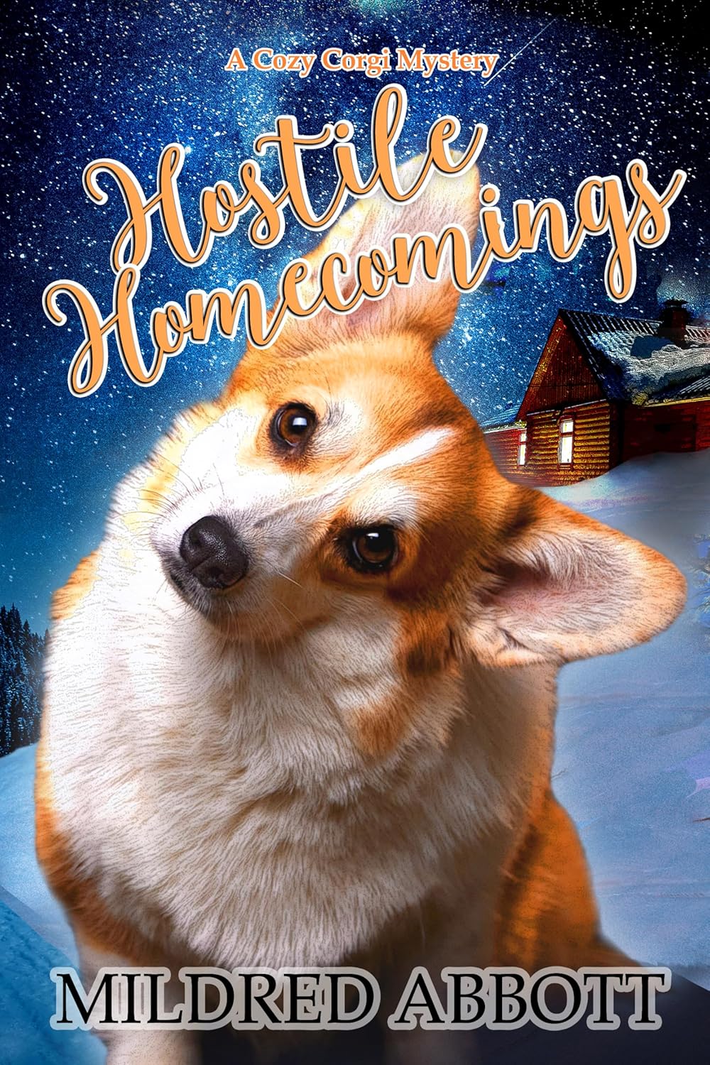 Hostile Homecomings book cover