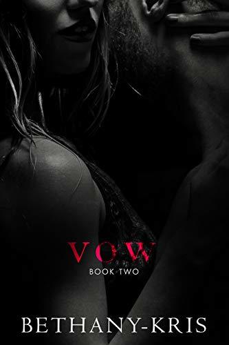 Andino + Haven book cover 2
