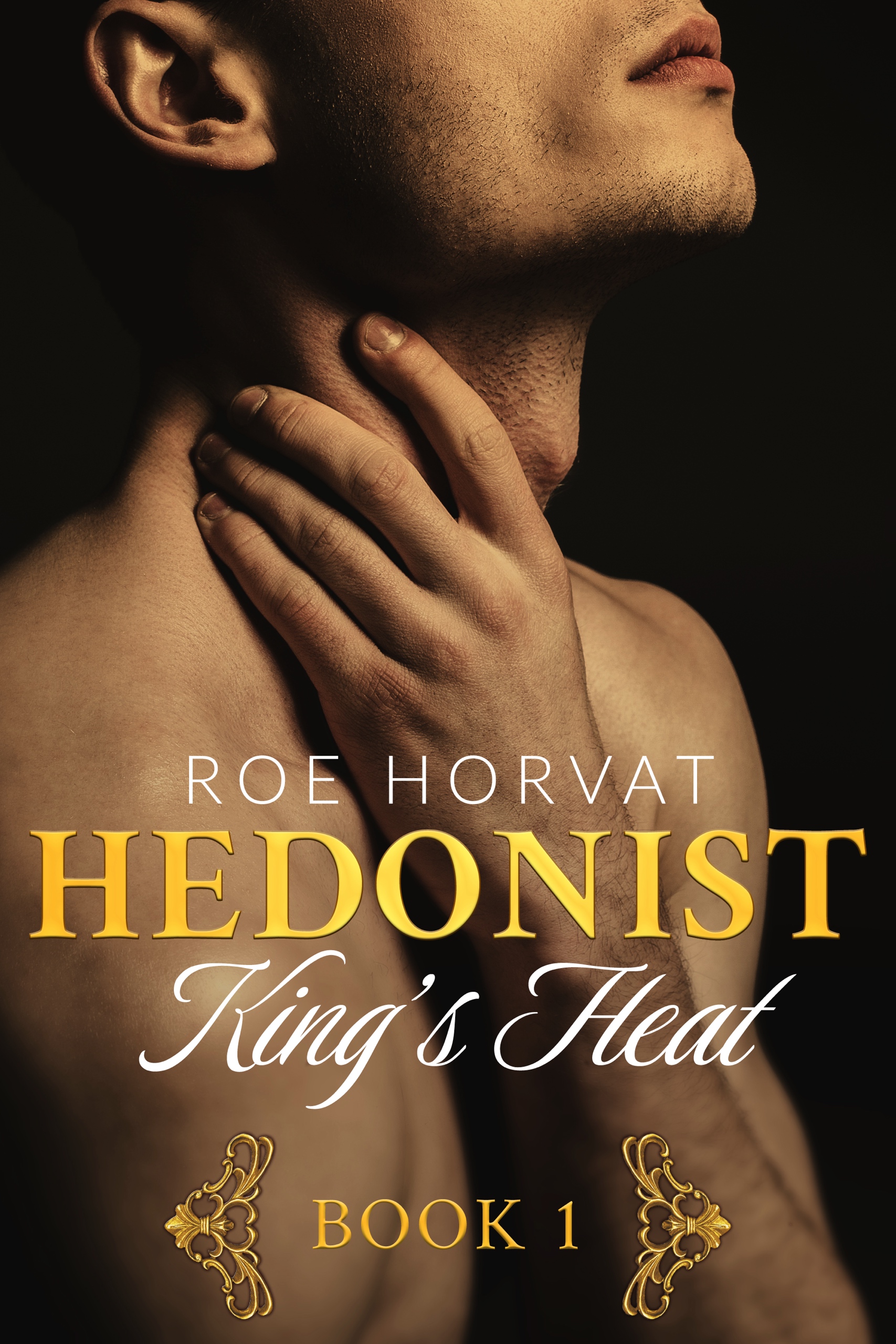 Hedonist book cover 1