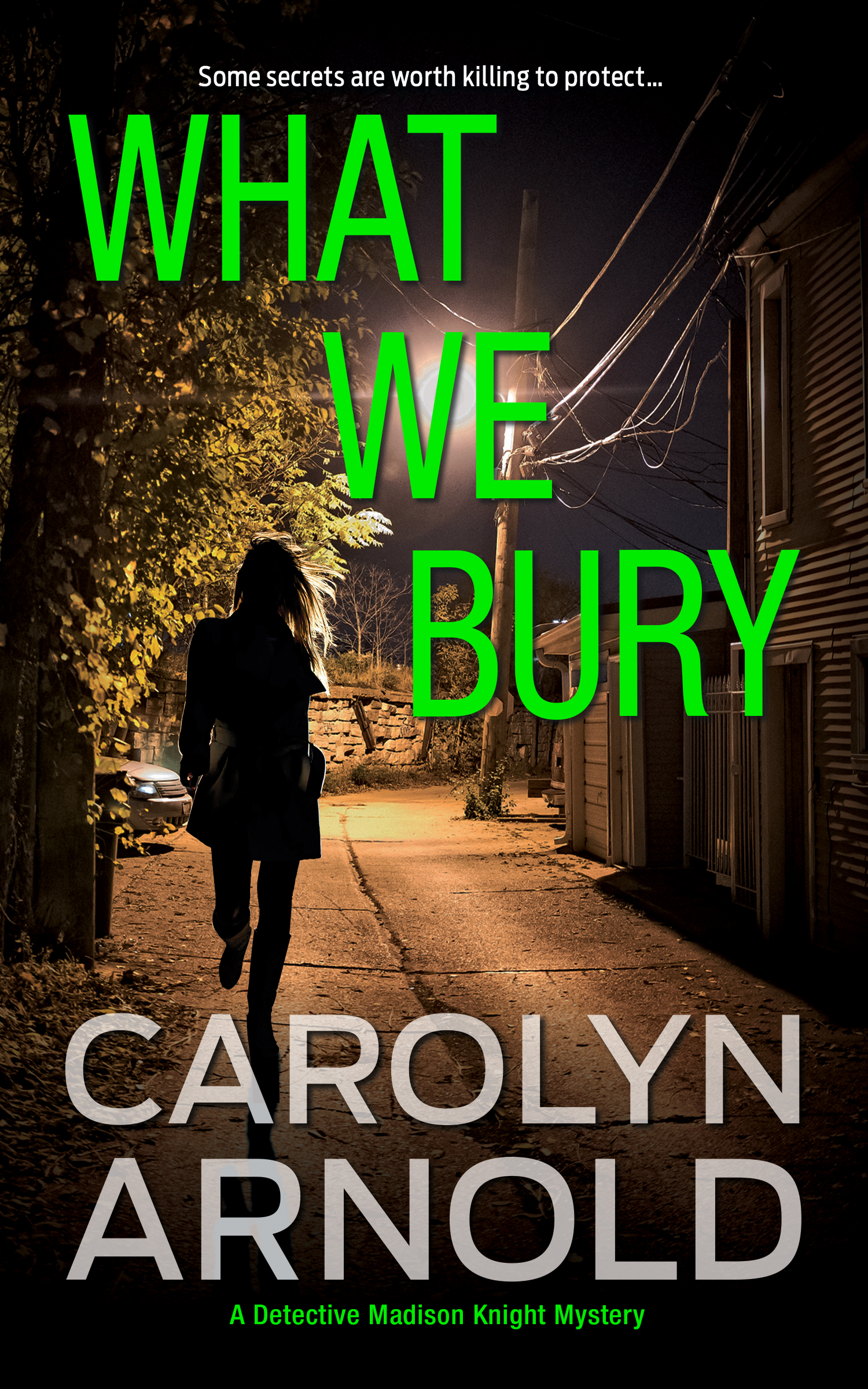 What We Bury book cover
