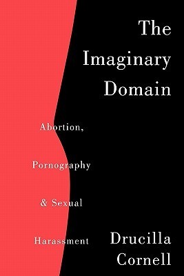 The Imaginary Domain book cover